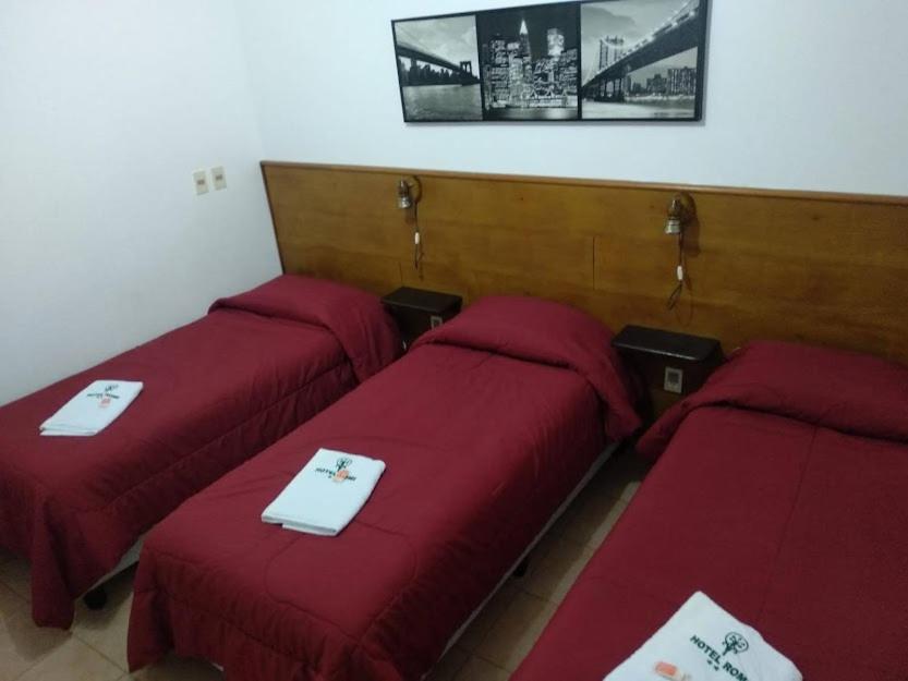 Hotel Romi كولونيا ديل ساكرامينتو المظهر الخارجي الصورة